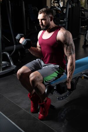 Man Working Out Biceps In A Gym - Dumbbell Concentration Curlsの写真素材