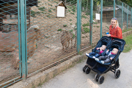 Happy Young Mother With Babies in Buggy Walking in Zoo Park