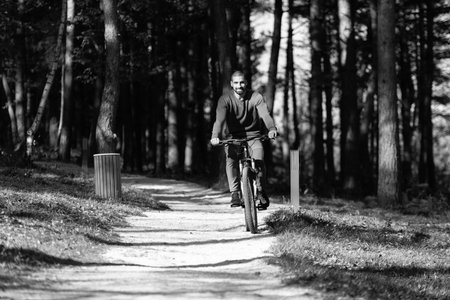 Mountain Biker Riding on Bike in Summer Mountains Forestの写真素材