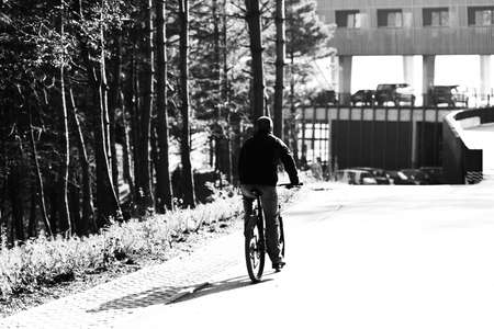 Mountain Biker Riding on Bike in Summer Mountains Forestの写真素材