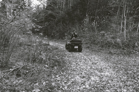 Emergency Man in Protective Uniform on Quad in Forest Searching Missing Personの写真素材