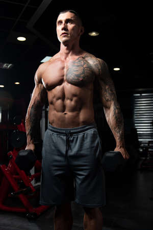 Athlete Working Out Biceps In A Gym - Dumbbells Concentration Curlsの写真素材