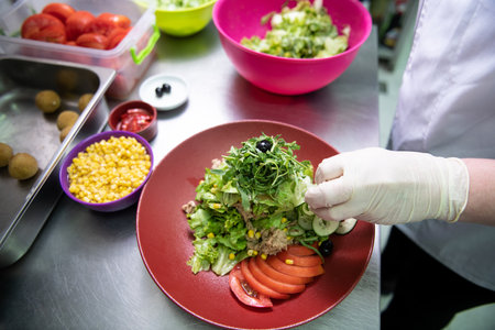 Close-up of the Hands of a Female Chef Making Salad With Fish and Decorating Mealの写真素材