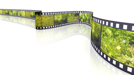 3d blank film on white backgroung filled by pictures of natureの写真素材