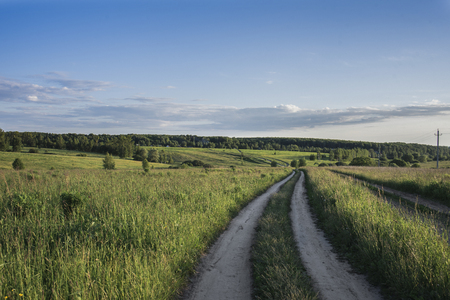 The road in a bright green field, overgrown with tall grass, on the horizon in the distance a forest, a blue sky with clouds. Landscape.の写真素材