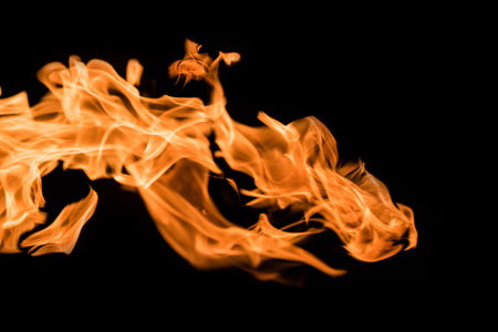 Flame of fire on a black background