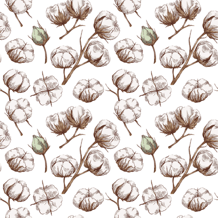 Hand drawn seamless pattern with cotton branches in vintage style. Botanical eco illustration.のイラスト素材