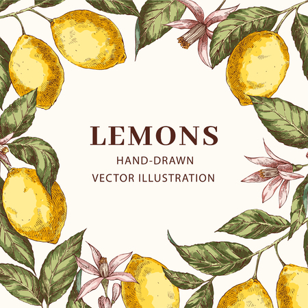 Lemon hand drawn circle frame with copy space templateのイラスト素材