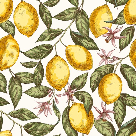 Lemons hand drawn vector seamless patternのイラスト素材