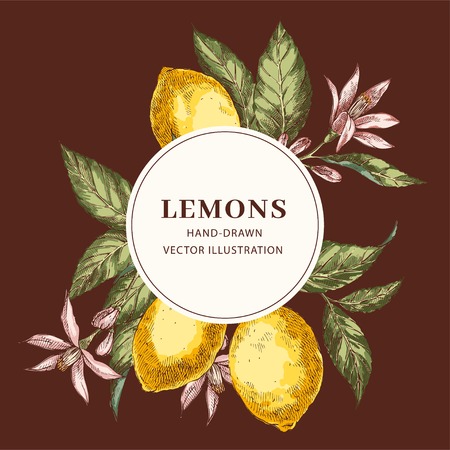 Lemon hand drawn circle frame templateのイラスト素材