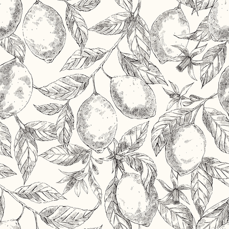 Lemons hand drawn vector seamless sketch patternのイラスト素材