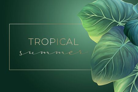 Summer banner with green palm leavesのイラスト素材