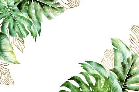 Isolated tropic palm leaves frameの写真素材