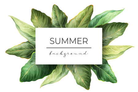 Palm Leaves banner background