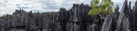 The Tsingy de Bemaraha Strict Nature Reserve is located in the center west of the Province of...