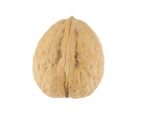 Image of walnut in its shell isolated on white back ground.