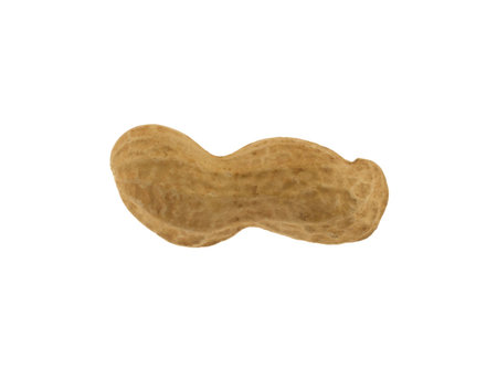 Image of raw peanut isolated on white background.