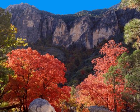 Guadalupe Mountains National Park in Texasの写真素材