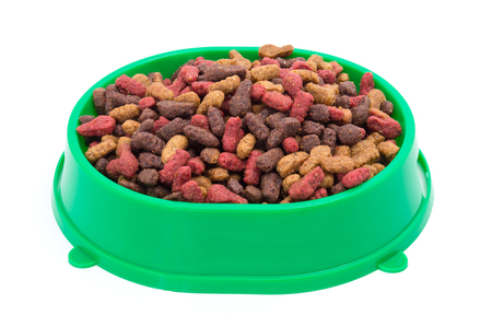 dry cat food in green bowlの写真素材