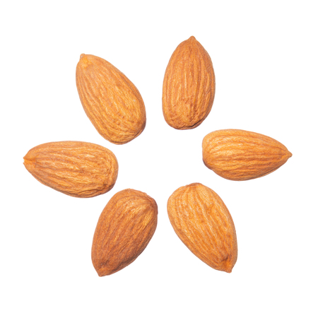 The flower made from ripe almonds isolated on white backgroundの写真素材