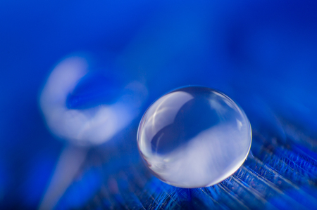 A abstract image of blue color feathers with one macro water drop, beautiful natural background.の写真素材