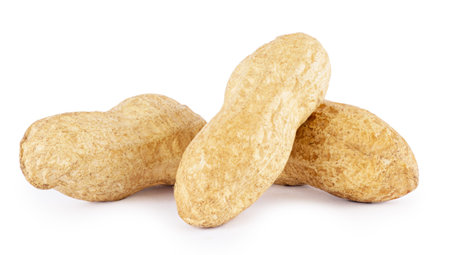 Dried peanuts in closeup