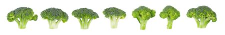 Group of tasty Broccoli isolated on white backgroundの写真素材