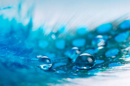 A drop of water dew on a fluffy feather close-up macro on colored blue background.の写真素材