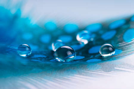A drop of water dew on a fluffy feather close-up macro on colored blue background.の写真素材