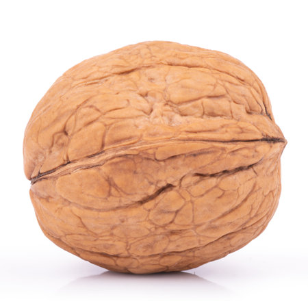 One wallnut isolated on white background.