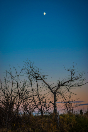 Moon rise on sunset skyの写真素材