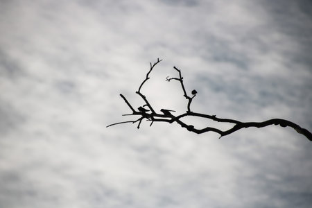 Alone