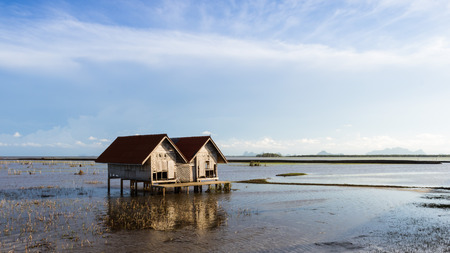Hut made of bamboo planted in rice feild, Thailand.の写真素材
