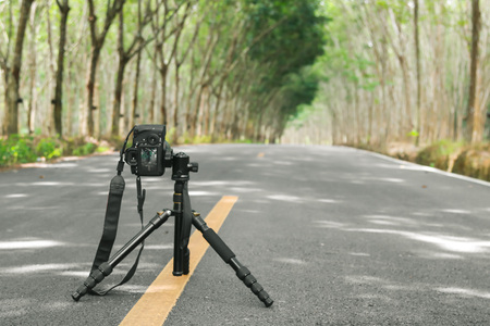 Camera and tripod on the road in plantationの写真素材