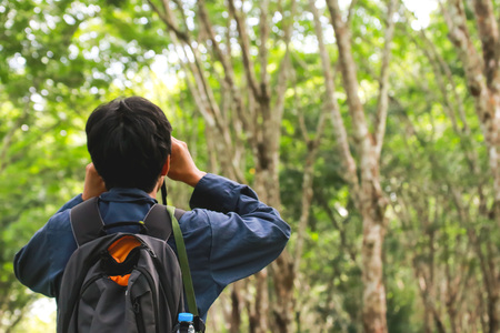 Bird watching in rubber plantationの写真素材