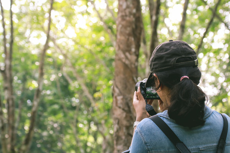 Bird photographer take photo at the wild in Thailandの写真素材