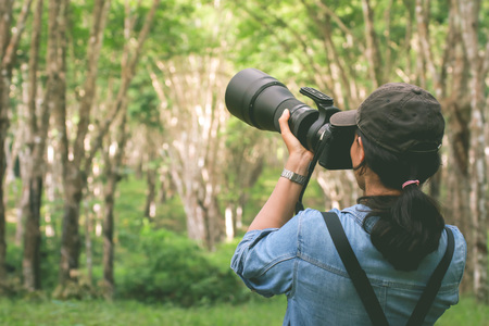 Bird photographer take photo at the wild in Thailandの写真素材