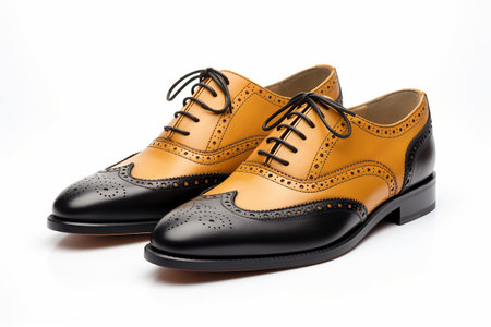 Two Tone Brogue Shoesの素材