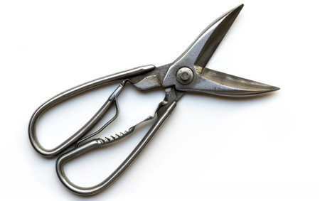 The Art of Wire Cutting Unveiled On White Background Generative By Ai.の素材