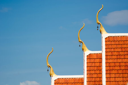 Temple roofの写真素材