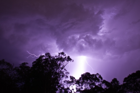 Lightening Strikes behind gumtreesの写真素材