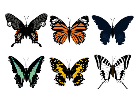 butterflyのイラスト素材