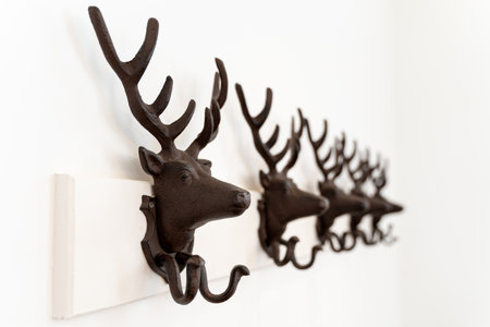 Decorative stag coat hooks on a plain white wallの写真素材