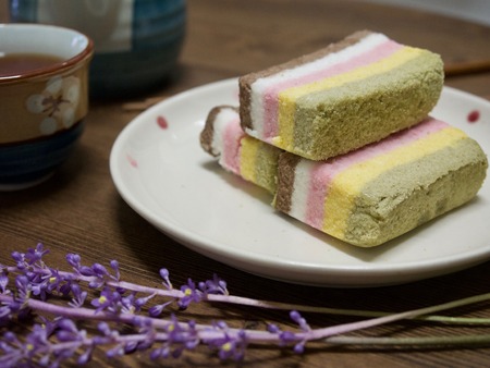 Korean food rainbow rice cakeの写真素材