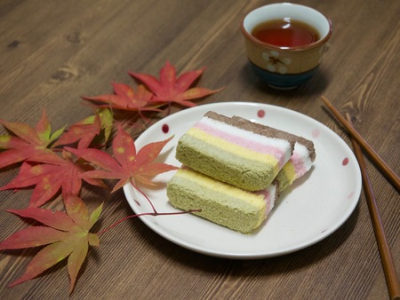 Korean food rainbow rice cakeの写真素材