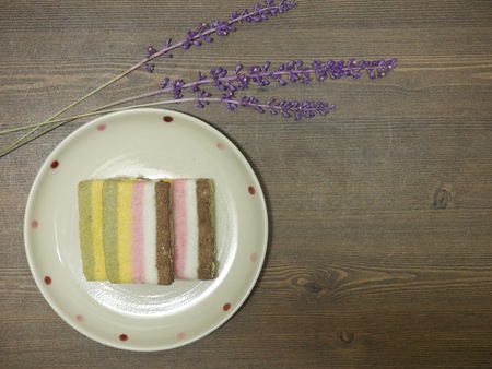 Korean food rainbow rice cakeの写真素材