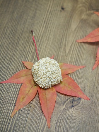 Asian food Sesame glutinous rice cakeの写真素材