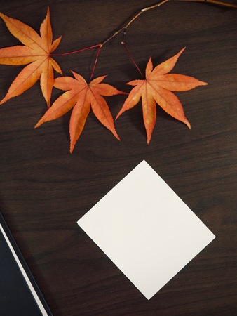 Maple leaves and photographs, postcards, notesの写真素材