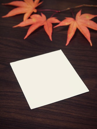 Maple leaves and photographs, postcards, notesの写真素材