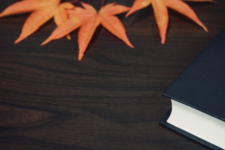 Book and Maple Leafの写真素材